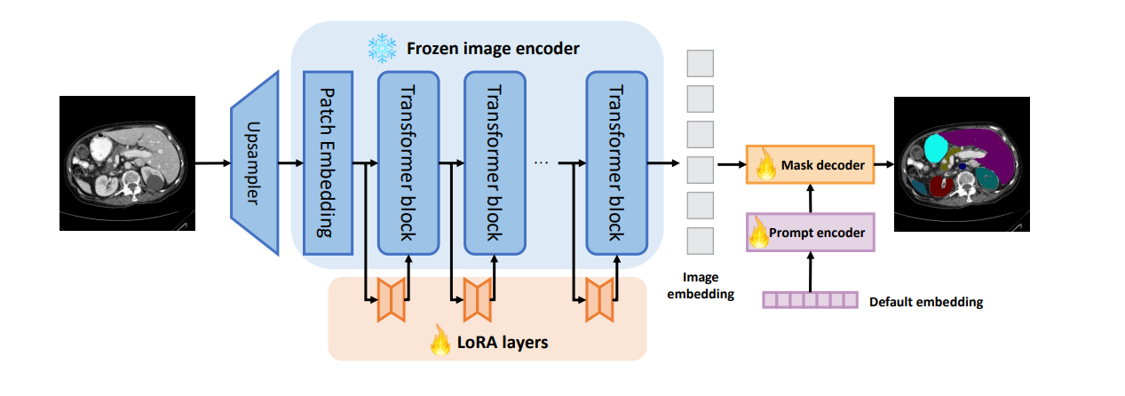 SAM LoRA Explained