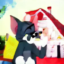 SANA-Video Tom & Jerry LoRA sample