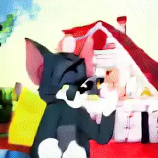 SANA-Video Tom & Jerry LoRA sample